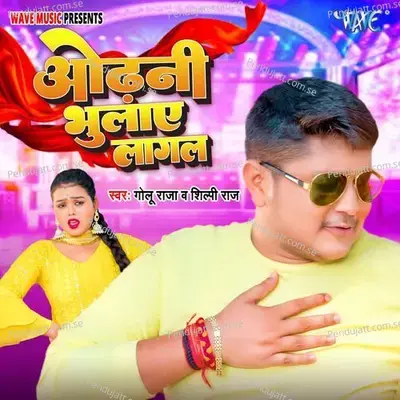 Odhani Bhulaye Lagal - Golu Raja album cover 