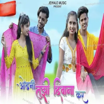 Odhani Tujhi Diwana Kar - Roshan Ravte album cover 