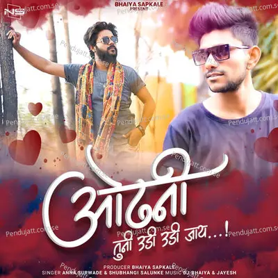 Odhni Tuni Udi Udi Jaay - Anna Surwade album cover 