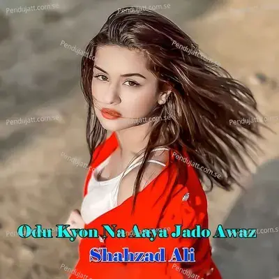 Odu Kyon Na Aaya Jado Awaz - Shahzad Ali album cover 