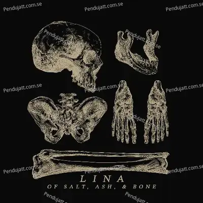 Of Salt, Ash, &Amp; Bone - Lina cover album