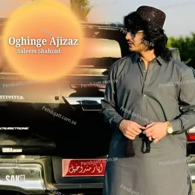 Oghefie Walda - Saleem Shahzad album cover 