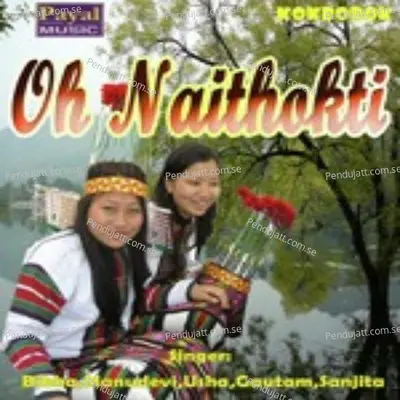 Ani Kuchangti - Bibha album cover 