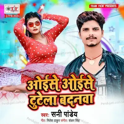 Oise Oise Tutela Badnawa - Sunny Pandey album cover 