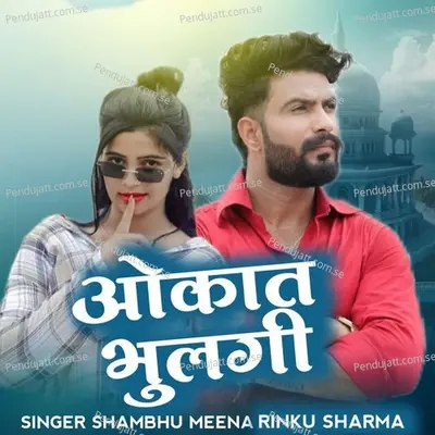 Okaat Bhulgi - Shambhu Meena album cover 