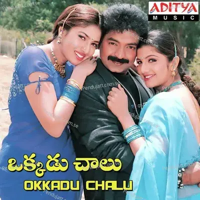 Okkadu Chaalu - Koti album cover 