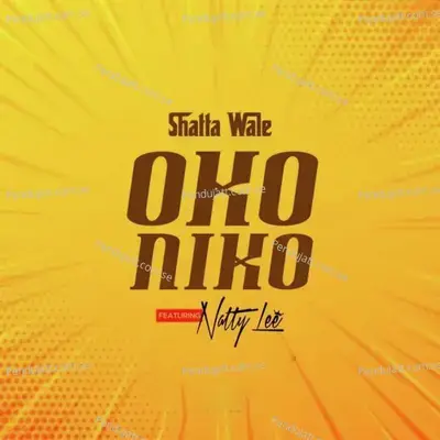 Oko Niko - Shatta Wale album cover 