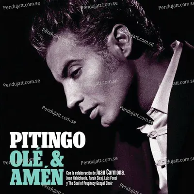 Ole Y Amen - Pitingo cover album