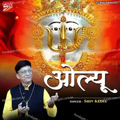 Olyu - Shiv Kedia album cover 