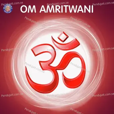 Om Jai Lakshmi Ramana - Jaydeep Bagwadkar album cover 