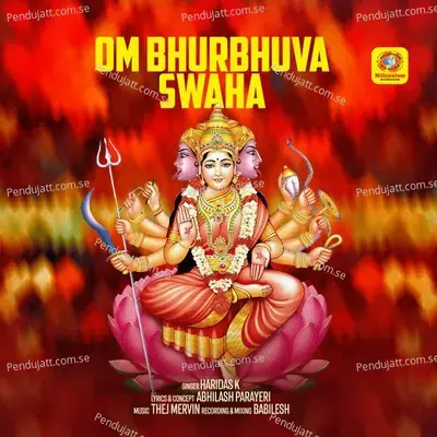 Om Bhurbhuva Swaha - Haridas K album cover 