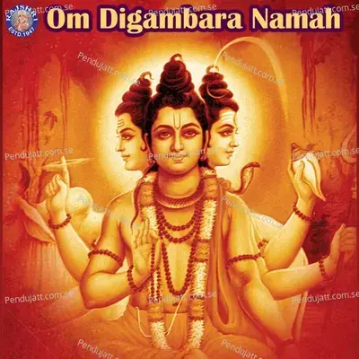 Om Digambara Namah - Various Artists cover album