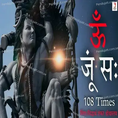 Om Joom Sah 108 Times - Siddharth Shankar Srivastav