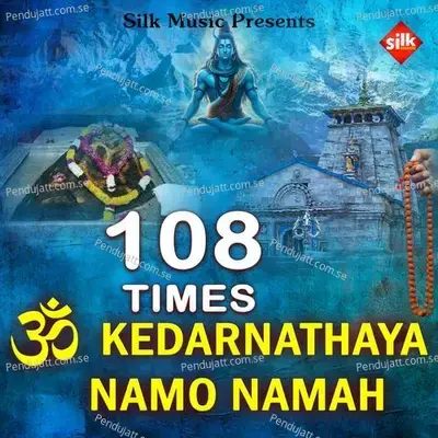 Om Kedarnathaya Namo Namah - Amit Tripathy album cover 
