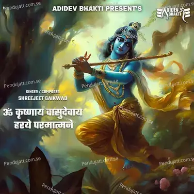Om Krushnaay Vaasudevaay - Shreejeet Gaikwad album cover 