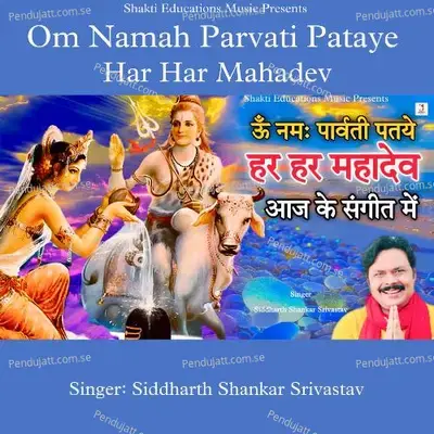 Om Namah Parvati Pataye Har Har Mahadev - Siddharth Shankar Srivastav album cover 