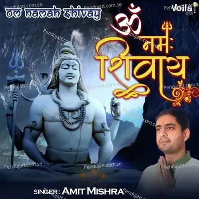 Om Namah Shivay - Amit Mishra album cover 