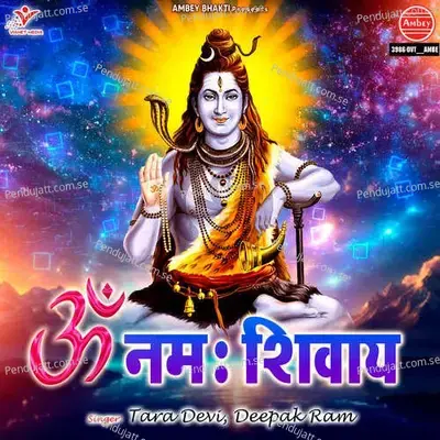 Om Namah Shivay - Tara Devi album cover 