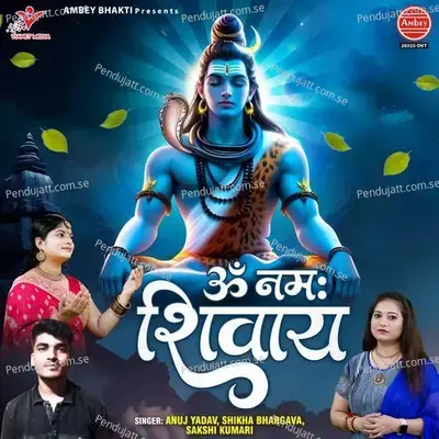 Om Namah Shivay - Anuj Yadav album cover 