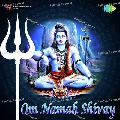 Om Namah Shivay - Dhun - Anup Jalota album cover 