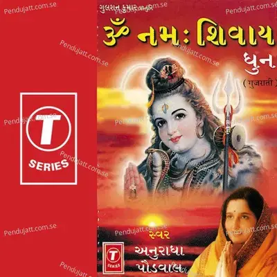 Om Namah Shivay Dhun - Anuradha Paudwal album cover 