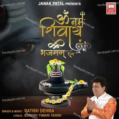 Om Namah Shivay Bhajman Dhun - Satish Dehra album cover 