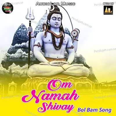 Om Namah Shivay - Satyam Babu album cover 