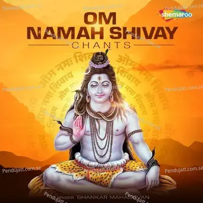 Om Namah Shivay Chant - Sanjayraj Gaurinandan (SRG)