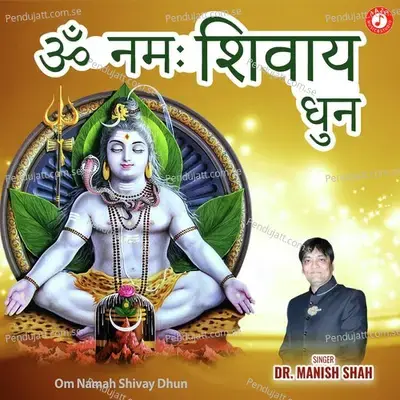 Om Namah Shivay Dhun - Dr. Manish Shah