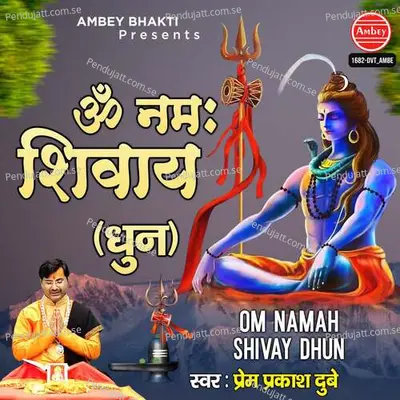 Om Namah Shivay Dhun - Prem Prakash Dubey album cover 