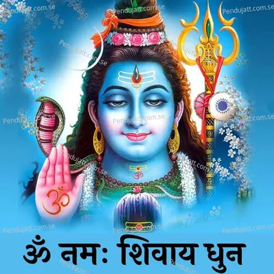 Om Namah Shivay Dhun - Shubhangi Joshi album cover 