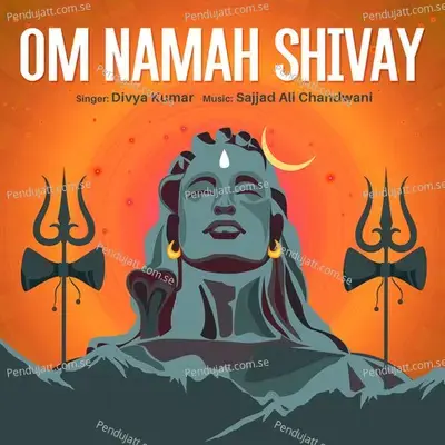 Om Namah Shivay - Divya Kumar