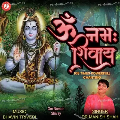 Om Namah Shivay - Dr. Manish Shah album cover 