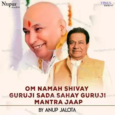 Om Namah Shivay Guruji Sada Sahay Guruji Mantra Jaap - Anup Jalota album cover 