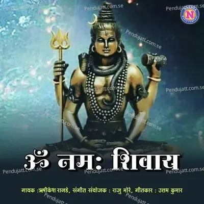 Om Namah Shivay - Hrishikesh Ranade album cover 