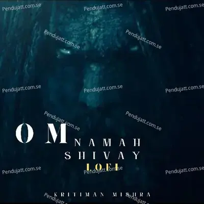 Om Namah Shivay - Kritiman Mishra album cover 