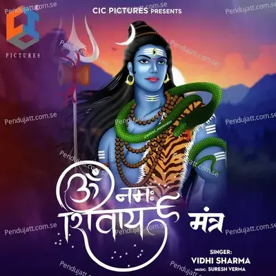 Om Namah Shivay Mantra - Vidhi Sharma album cover 