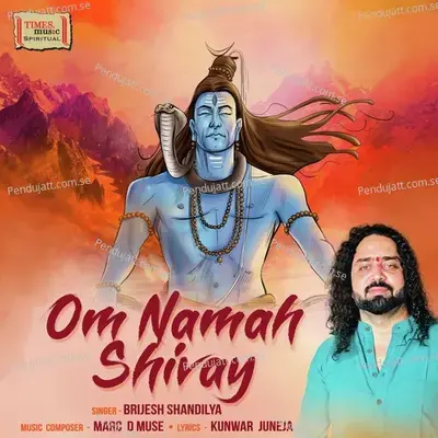 Om Namah Shivay - Brijesh Shandilya album cover 