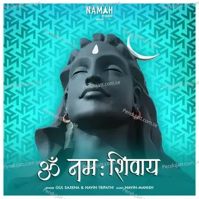 Om Namah Shivay - Navin Tripathi album cover 