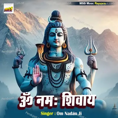 Om Namah Shivay - Om Nadan Ji album cover 