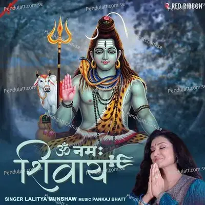 Om Namah Shivay - Pankaj Bhatt