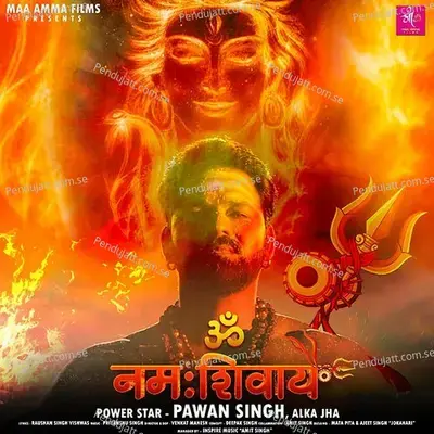 Om Namah Shivay - Pawan Singh album cover 