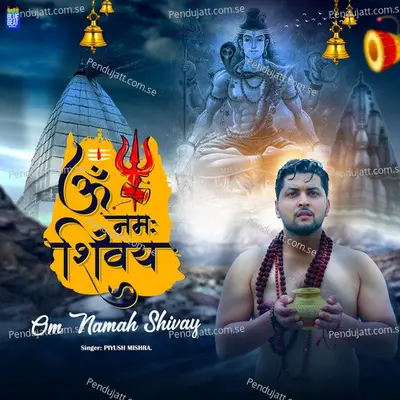 Om Namah Shivay - Piyush Mishra album cover 