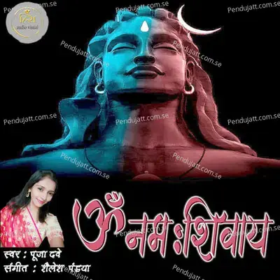 Om Namah Shivay - Pooja Dave album cover 