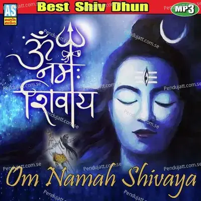 Om Namah Shivay - Pravinaben Rajput album cover 