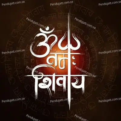 Om Namah Shivay - Rahul Saxena