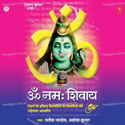 Om Namah Shivaya - Satish Naamdev album cover 