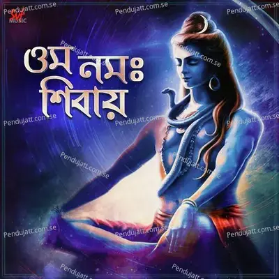 Om Namah Shivay - Sayani Palit album cover 