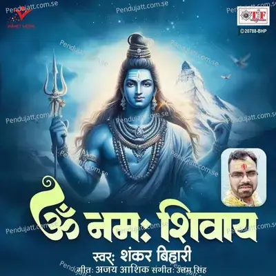 Om Namah Shivay - Shankar Bihari album cover 