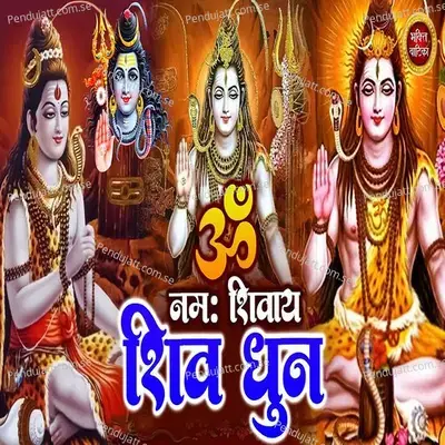 Om Namah Shivay Shiv Dhun - vishal saini album cover 